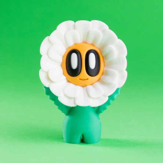 Daisy